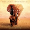 The Elephant Queen (Original Motion Picture Soundtrack)