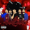 Designó - No Quiere Relación