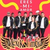 Eres Mi Amor - Single