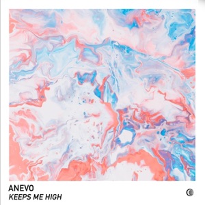 Keeps Me High - Single