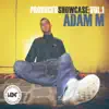 Producer Showcase, Vol. 1: Adam M (Mix 2) [DJ MIX] album lyrics, reviews, download