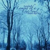 Lament of a Lost Soul... (Matahari Ranch Remix) - Single, 2020
