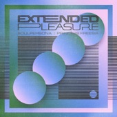 Extended Pleasure artwork