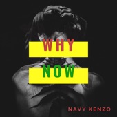 Why Now artwork