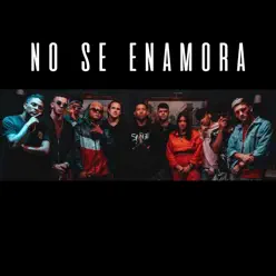No Se Enamora (feat. Kaih, Nanizzie, Kabliz, La Mentalidad, Jdk, Leo, Da Silva & Capo) - Single - Mole No Se Enamora (feat. Kaih, Nanizzie, Kabliz, La Mentalidad, Jdk, Leo, Da Silva & Capo) - Single - Mole