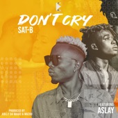 Don't Cry (feat. Aslay) artwork
