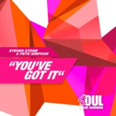 You've Got It (Extended Mix) artwork