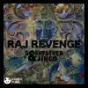 Stream & download Raj Revenge - Single