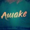 Awake artwork