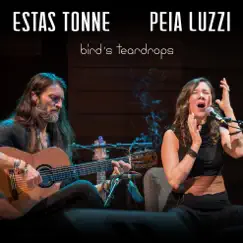 Bird's Teardrops (feat. Peia) Song Lyrics