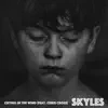 Crying in the Wind (feat. C. Cross) - Single album lyrics, reviews, download