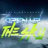 Stream & download Open up the Sky - Single