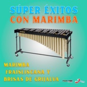 Súper Éxitos Con Marimba artwork