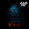 Malignant Eternal - Into Twilight