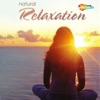 Shaun Harris - Relax Your Body