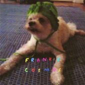 Frankie Cosmos - Leonie