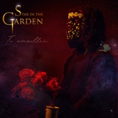 Star in the Garden artwork