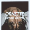 Ornette - Walk on the Wild Side