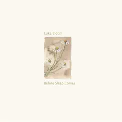Before Sleep Comes by Luka Bloom album reviews, ratings, credits