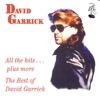 All the Hits... Plus More - The Best of David Garrick