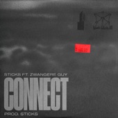Connect (feat. Zwangere Guy) artwork