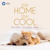 Stay Home, Stay Cool: Relaxing Classical Vibes artwork