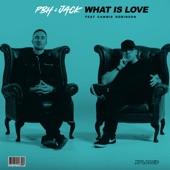 What Is Love (feat. Cammie Robinson) artwork