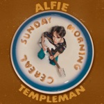 Alfie Templeman - Stop Thinking (About Me)