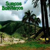 Surcos Bolivianos Vol. 16 artwork