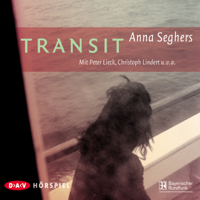 Anna Seghers - Transit artwork