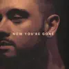 Now You're Gone - Single album lyrics, reviews, download