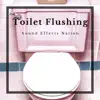 Toilet Flushing - Single album lyrics, reviews, download