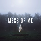 Mess of Me artwork