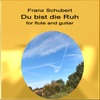 Franz Schubert - Du bist die Ruh for flute and guitar - Single