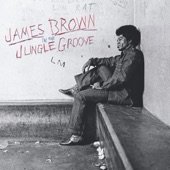 In the Jungle Groove artwork