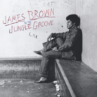 James Brown - In the Jungle Groove artwork