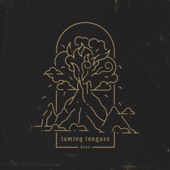 Taming Tongues artwork