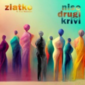 Niso drugi krivi (feat. Tina Marinšek) artwork