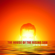 The House of the Rising Sun (Metal Version) - Leo