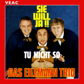 Sie will ja - Das Eilemann Trio
