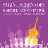 String Serenades, Volume 2: Josef Suk & Antonín Dvořák artwork