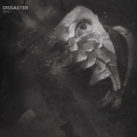 Cover artwork for Dissaster