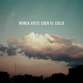 Nunca Viste Caer el Cielo artwork