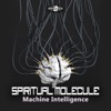 Spiritual Molecule - The Love Journey