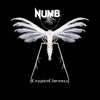 Numb