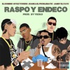 Raspo y Endeco - Single