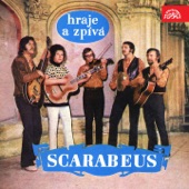 Hraje a zpívá scarabeus artwork