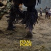 Final Form by Sampa the Great iTunes Track 1