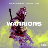 Warriors artwork