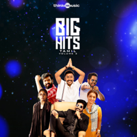 Various Artists - Big Hits, Vol. 2 artwork